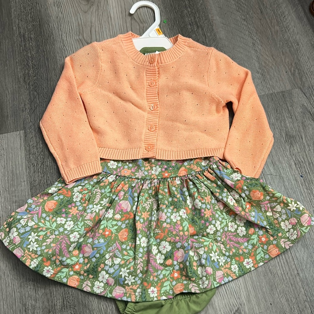 Baby Girl Spring Dress 12 Mos